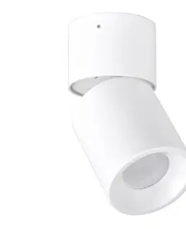 Svietidlá  Bodové svietidlo NIXA 1xGU10/10W/230V biela 314239