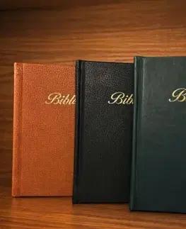 Biblie, biblistika Biblia Tranoscius 2024 so zlatou oriezkou a ozdobným písmom v ekokoži (Čierna)