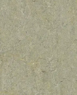 Marmoleum marbled terra FORBO Marmoleum marbled terra River bank 5801