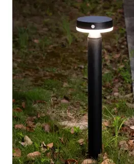 LED osvetlenie Zuma Line PT33613 - LED Solárna lampa CARLI LED/4,5W/2000 mAh IP44 čierna PT33613