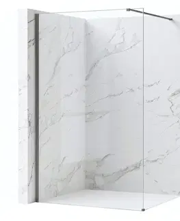Sprchové dvere REA/S - Sprchová zástena Flexi Transparent / Titan 80 KPL-K99467