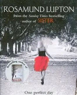 Cudzojazyčná literatúra Afterwards - Rosamund Lupton