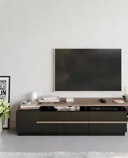 Konferenčné stolíky Televízny stolík Pia Black and Walnut