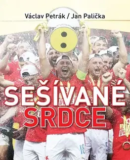 Umenie - ostatné Sešívané srdce - Jan Palička