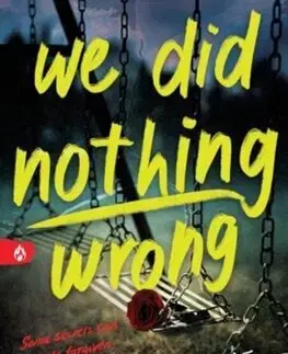 Detektívky, trilery, horory We Did Nothing Wrong - Hannah Jayne