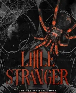Romantická beletria Little Stranger - Leigh Rivers