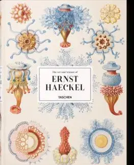 Biológia, fauna a flóra Haeckel - Rainer Willmann,Julia Voss