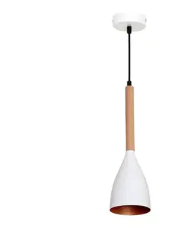 Svietidlá  Luster na lanku MUZA 1xE27/60W/230V 9106