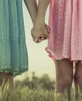 Svetová beletria A rózsaszín ruha - Péterfy Novák Éva