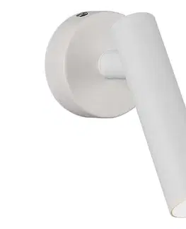 Svietidlá  LED Nástenné bodové svietidlo LED/2W/230V 4000K biela 10293