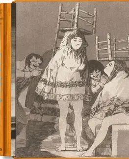 Maliarstvo, grafika Goya. The Complete Prints - Anna Reuter,Jose Manuel Matilla