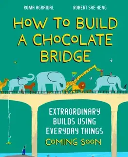 Encyklopédie pre deti a mládež - ostatné How to Build a Chocolate Bridge - Roma Agrawal