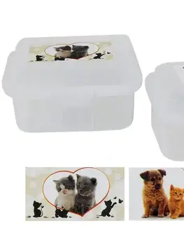 Desiatové boxy TVAR - Box desiatový 11x8x6cm Maznáčikovia rôzne motívy