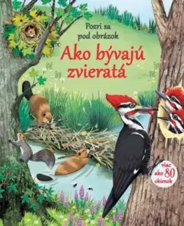 Leporelá, krabičky, puzzle knihy Ako bývajú zvieratká - Emily Bone