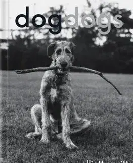 Fotografia DogDogs - Elliott Erwitt