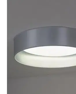 Svietidlá  - LED Stropné svietidlo ROLLER LED/24W/230V pr. 45 cm strieborná 605359