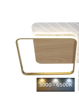 Svietidlá  LED Stmievateľné stropné svietidlo LED/60W/230V 3000-6500K + diaľkové ovládanie TB1304/GW