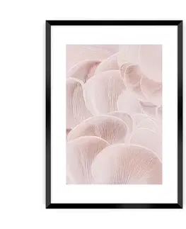 Obrazy Plagát Pastel Pink I
