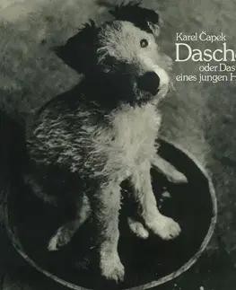 Pre deti a mládež SUPRAPHON a.s. Daschenka oder das Leben eines jungen Hundes