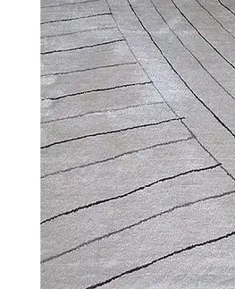Moderné koberce Koberec Shaggy Soft Touch 0,8/1,5 Si-381