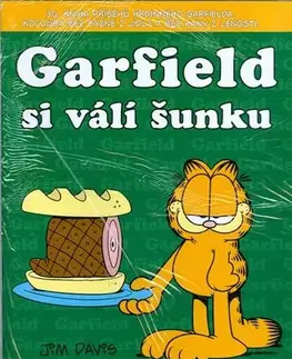 Komiksy Garfield si válí šunku - Jim Davis