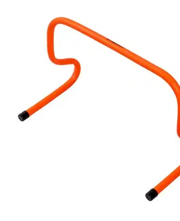 Ostatné fitness náradie Tréningová prekážka inSPORTline Dexteros 30 cm
