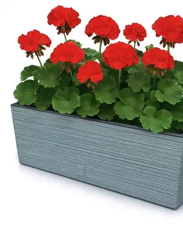 Záhradné kvetináče ProsperPlast Kvetináč FURU CASE | betón 58 cm