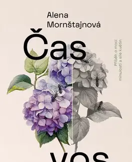 Česká beletria Čas vos - Alena Mornštajnová