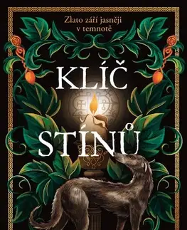 Romantická beletria Klíč stínů - Susan Stokes-Chapman
