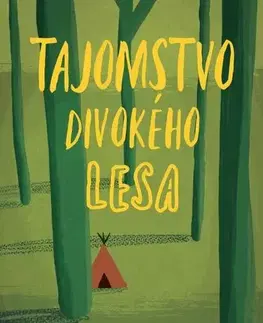 Pre deti a mládež - ostatné Tajomstvo divokého lesa - Patricia St. John