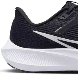 Cesta Nike Pegasus 40 Veľkosť: 42 EUR