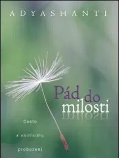 Duchovný rozvoj Pád do milosti - Adyashanti