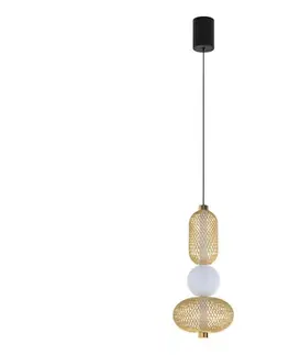 Svietidlá Eglo 300477 - stmievateľný LED luster na lane CEGLIE LED/12W/230V 2200-6500K zlatá +DO 300477