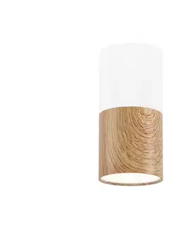 Svietidlá  Stropné svietidlo TUBA 1xGU10/50W/230V biela 2273655