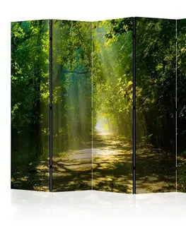 Paravány Paraván Road in Sunlight Dekorhome