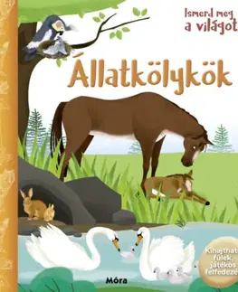 Leporelá, krabičky, puzzle knihy Ismerd meg a világot! - Állatkölykök
