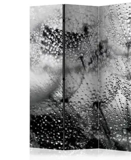 Paravány Paraván Kiss of the Rain Dekorhome