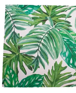 Obrazy Obraz na plátne Green Leaves, 40 x 40 cm