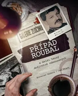 Fejtóny, rozhovory, reportáže Případ Roubal a další kauzy doživotně odsouzených - Miroslav Kučera,Jan Stach