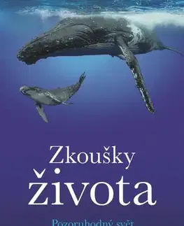 Ekológia, meteorológia, klimatológia Zkoušky života - David Attenborough