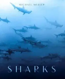 Fotografia Sharks, Face-To-Face with the Ocean's Endangered Predator - Kolektív autorov