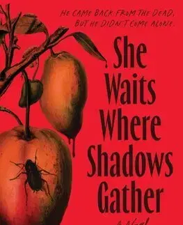 Detektívky, trilery, horory She Waits Where Shadows Gather - Michelle Tang