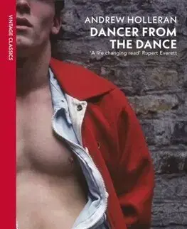 Svetová beletria Dancer from the Dance - Andrew Holleran