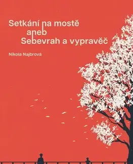 Novely, poviedky, antológie Setkání na mostě - Nikola Najbrová,Adam Najbr
