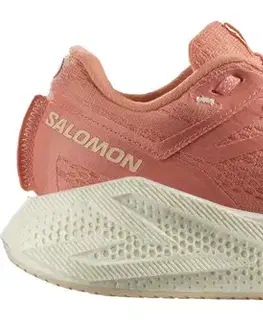 Cesta Salomon Aero Glide 3 W Veľkosť: 37 1/3 EUR