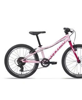 Bicykle Galaxy Cetis 20"  2025 ružová - 10" (113-135 cm)
