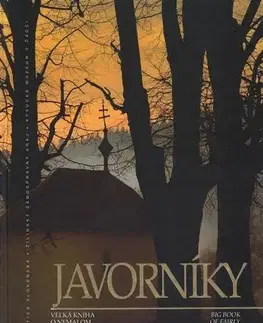 Encyklopédie, obrazové publikácie Javorníky - Kolektív autorov,Miloš Jesenský