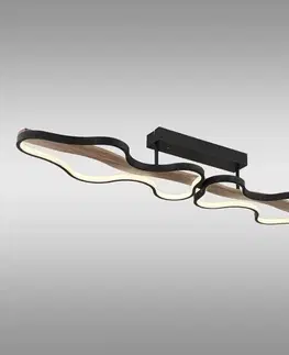 Lampy do obývačky Stropné svietidlo Bezzy 67181D1 LED LW2