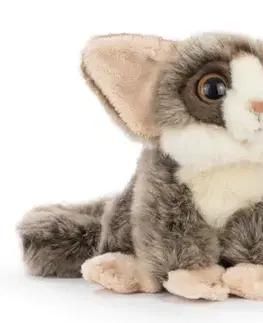 Plyšové a textilné zvieratká BARRADO WILD LIFE Lemur mláďa plyšová hračka 17cm