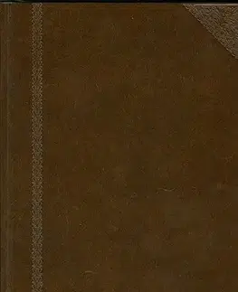 Literárna veda, jazykoveda Ottův slovník naučný XVII. - Kolektív autorov